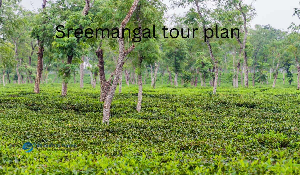 Sreemangal tour plan